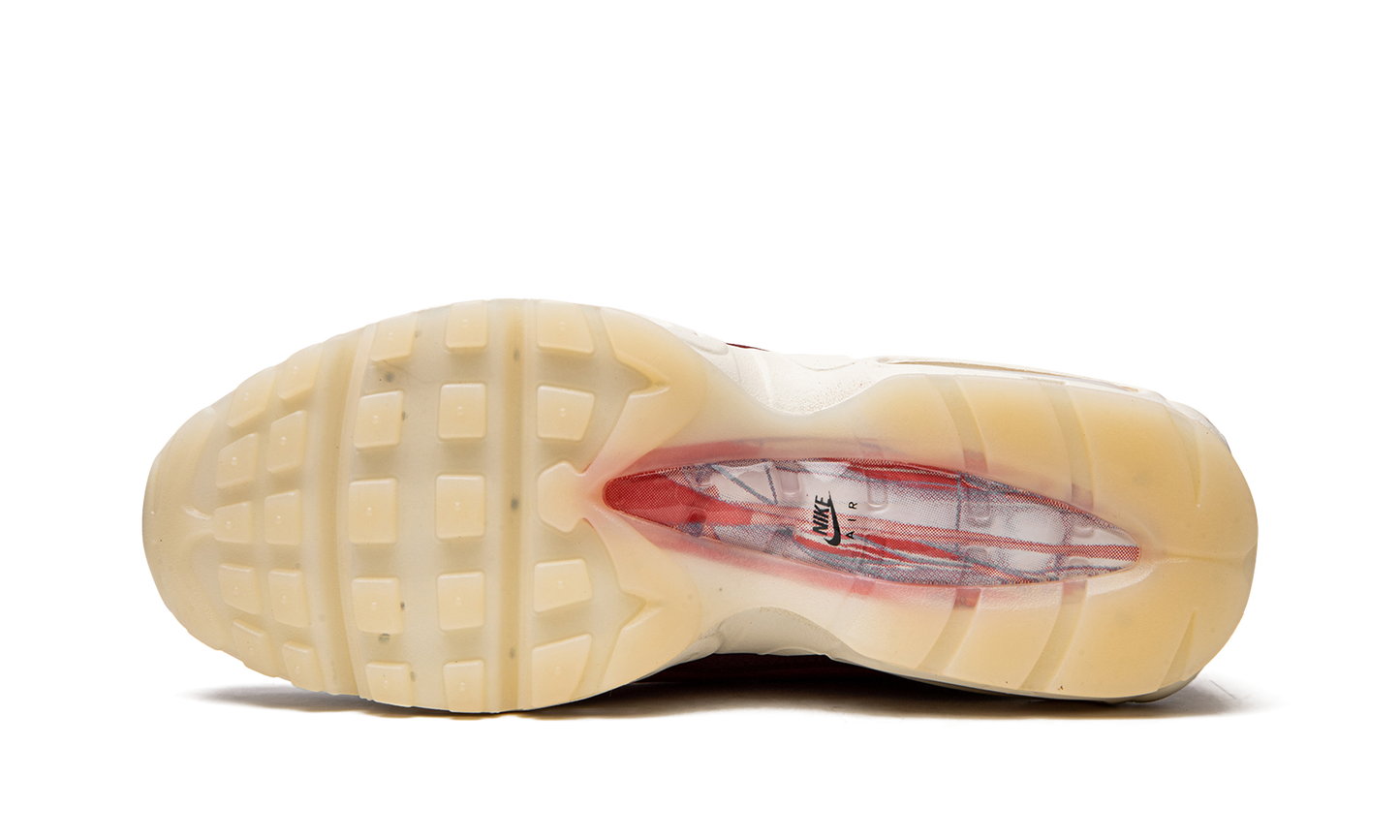 Air Max 95 QS Anatomy of Air