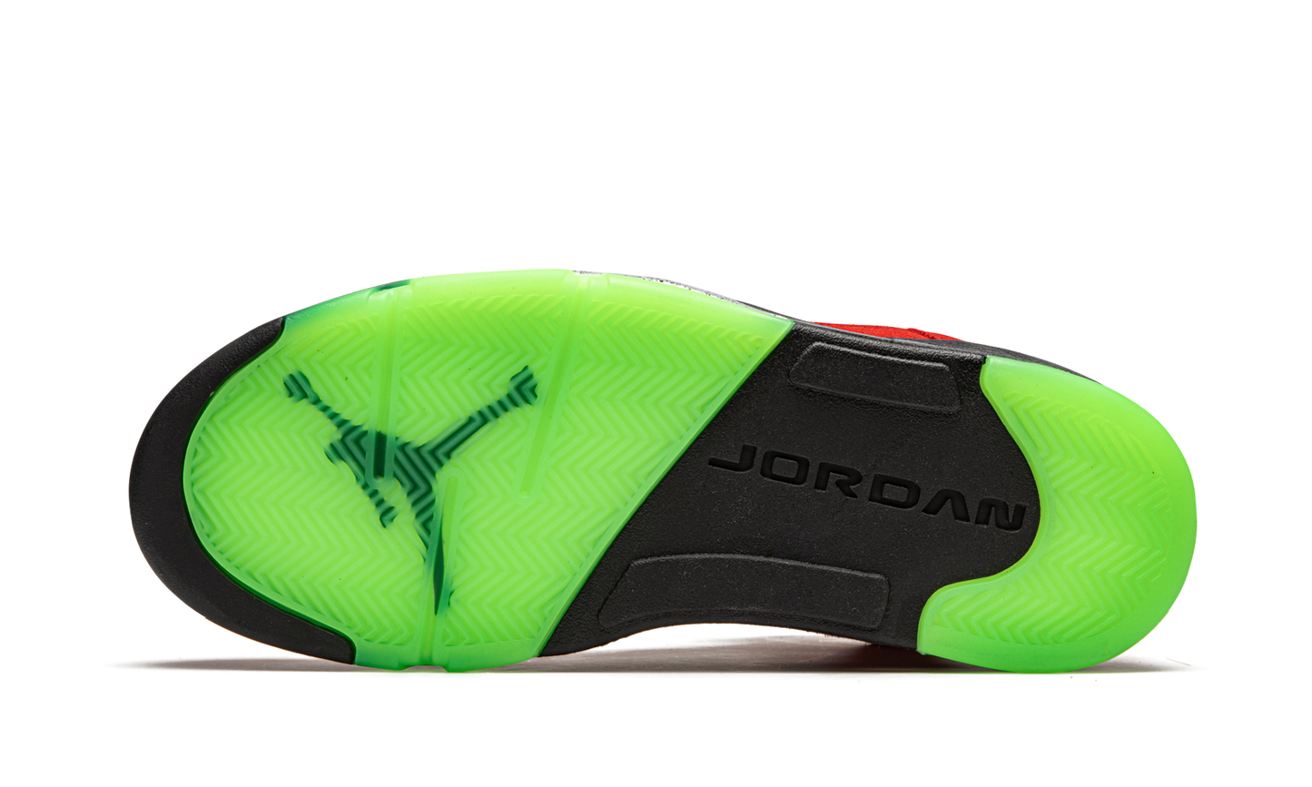 Air Jordan 5 Retro What The