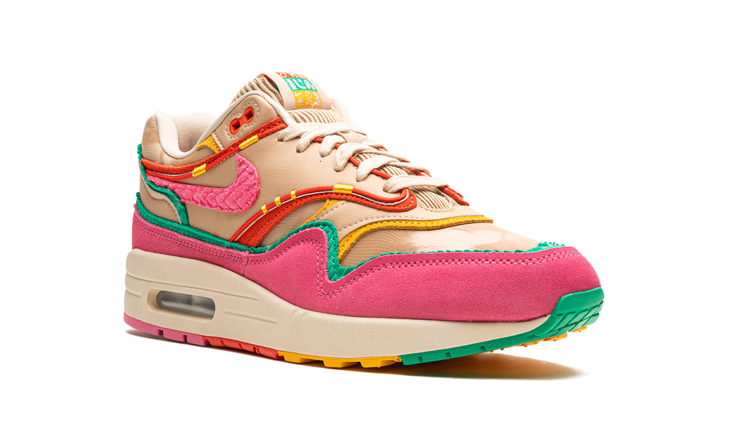 Air Max 1 Familia