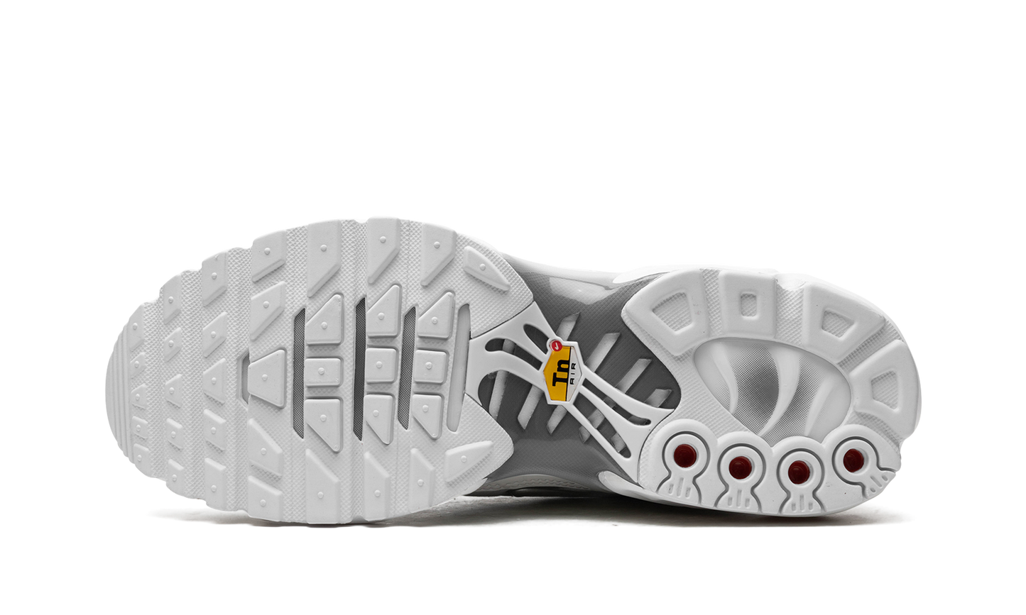 AIR MAX PLUS WMNS White / Metallic Silver