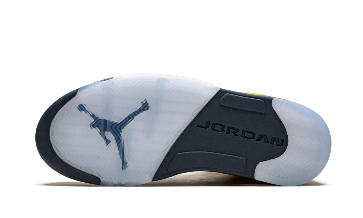 Air Jordan 5 Retro SE Michigan