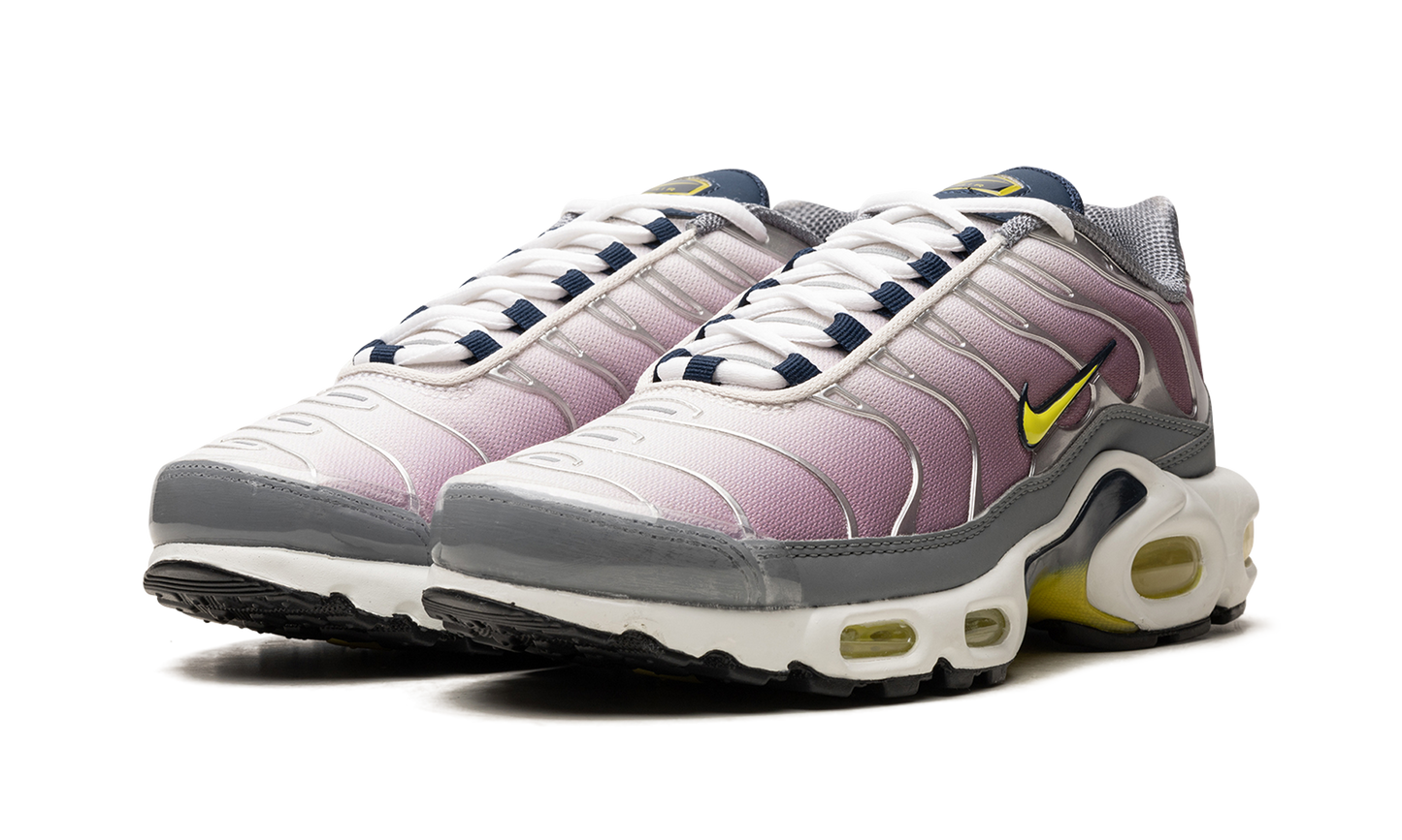 AIR MAX PLUS WMNS VIOLET DUST