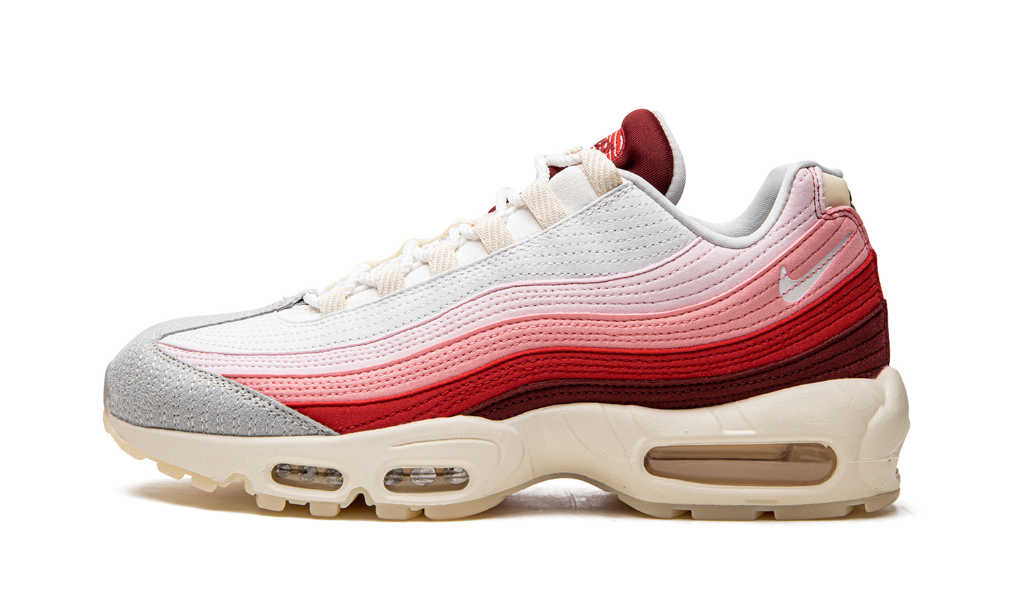 Air Max 95 QS Anatomy of Air