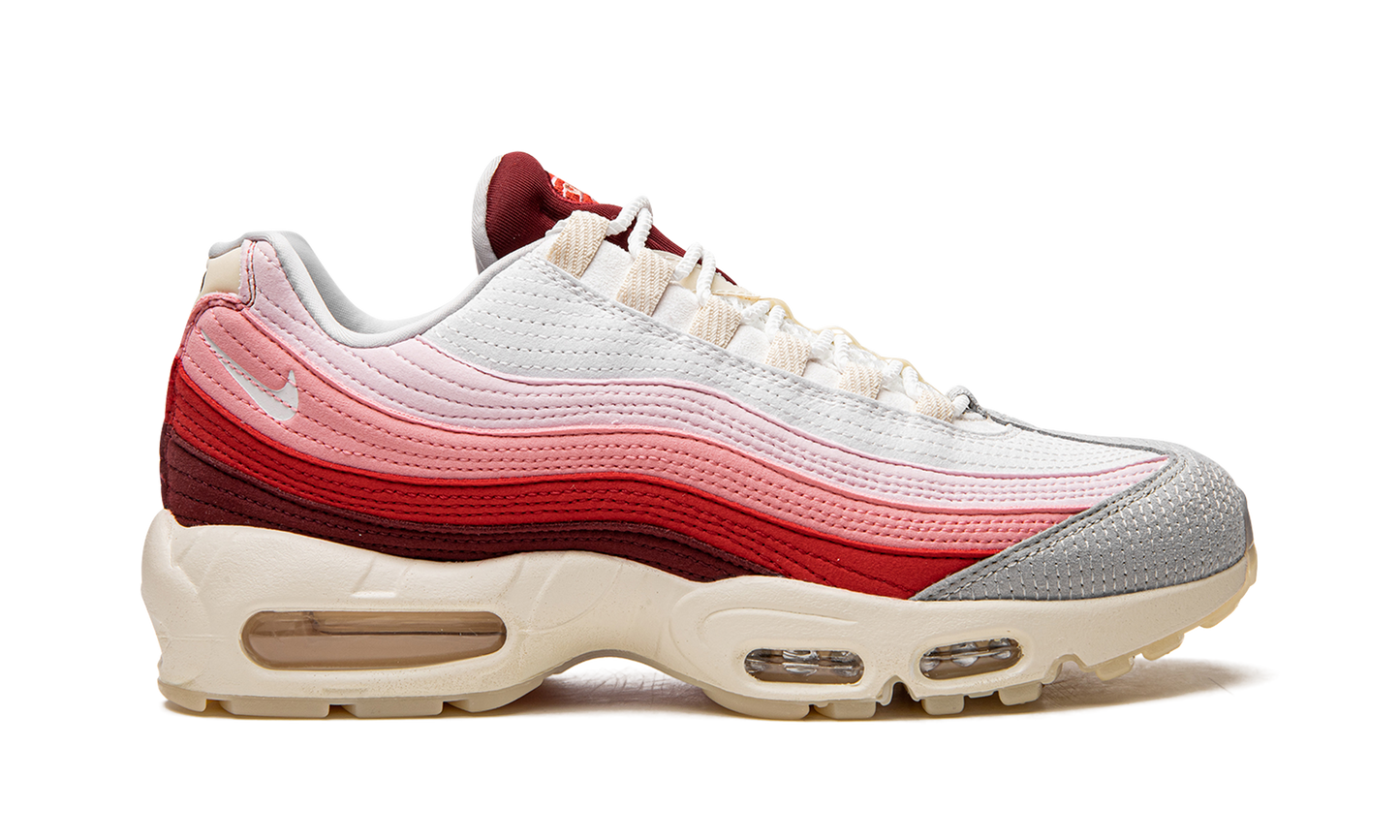 Air Max 95 QS Anatomy of Air
