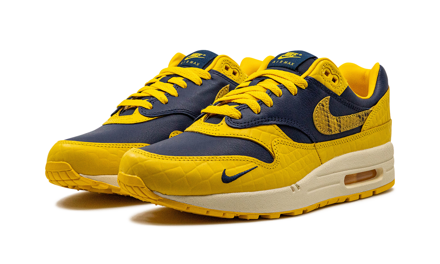 AIR MAX 1 PRM MNS WMNS Co.jp Head to Head
