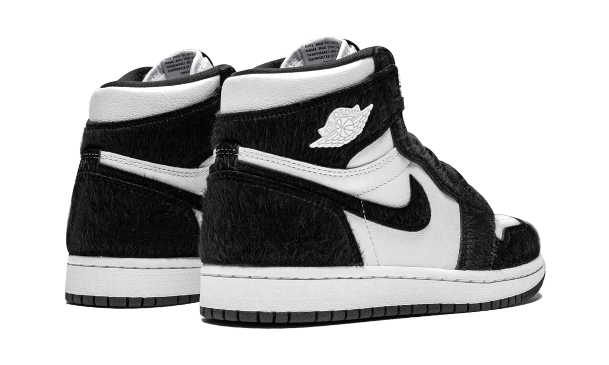 AIR JORDAN 1 RETRO HIGH OG WMNS  Twist