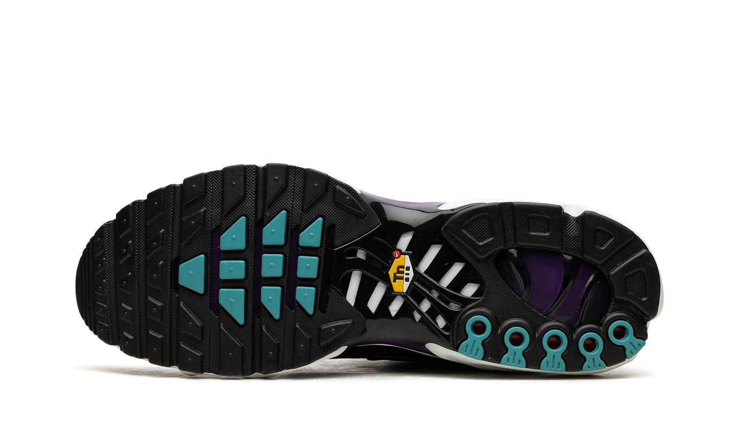 Air Max Plus  Reverse Grape