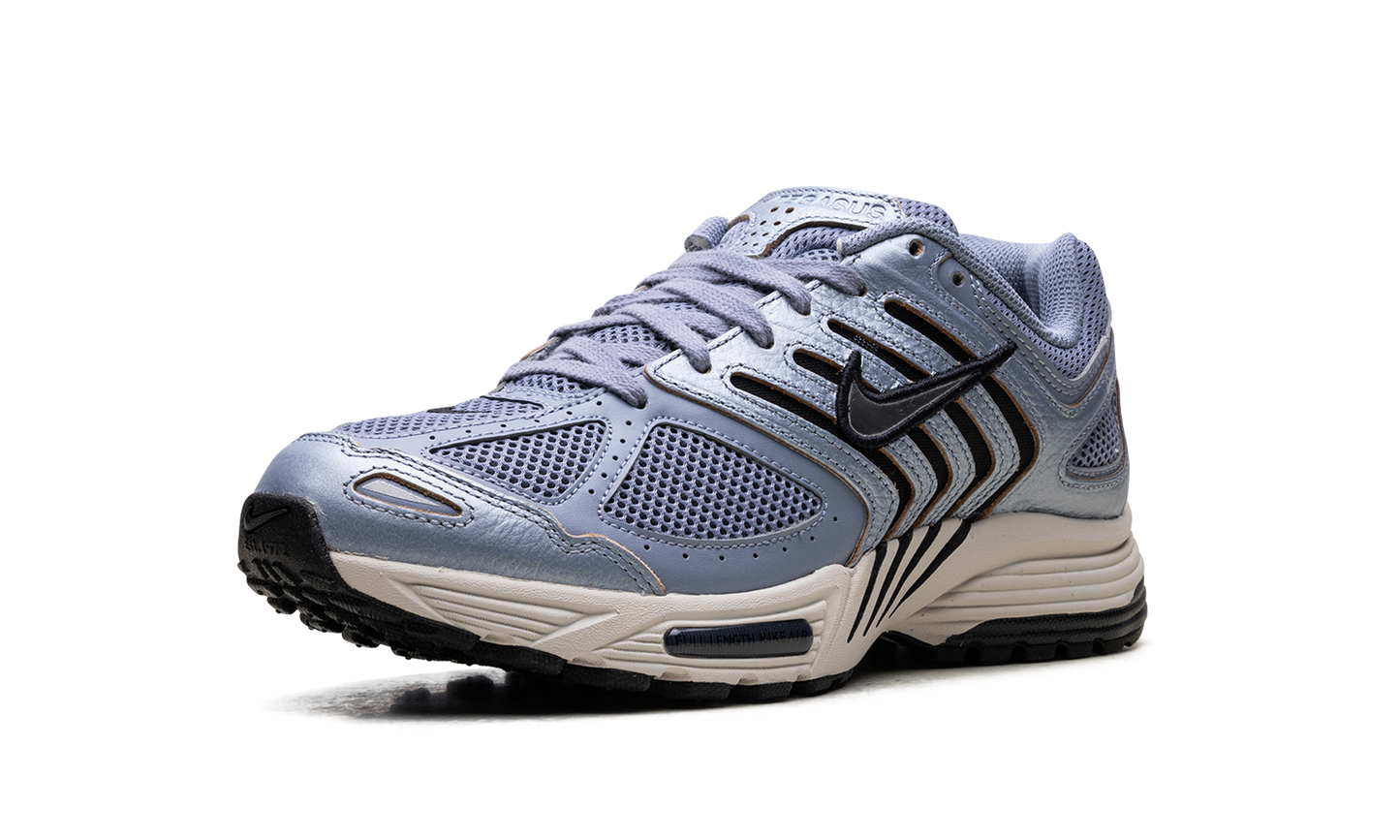 Air Pegasus 2K5 WMNS  Ashen Slate
