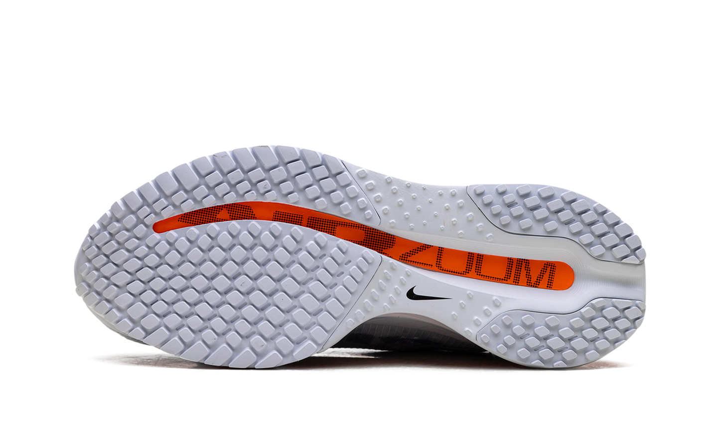 Air Zoom Pegasus Premium WMNS  Airscape