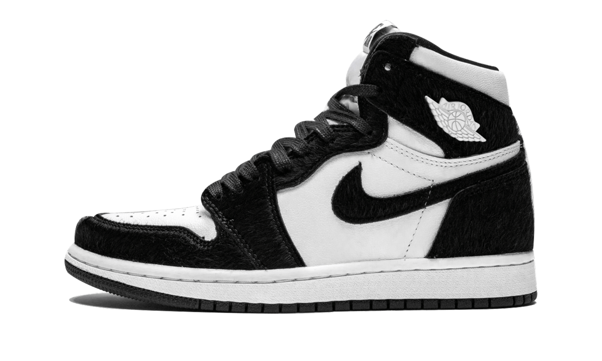 AIR JORDAN 1 RETRO HIGH OG WMNS  Twist