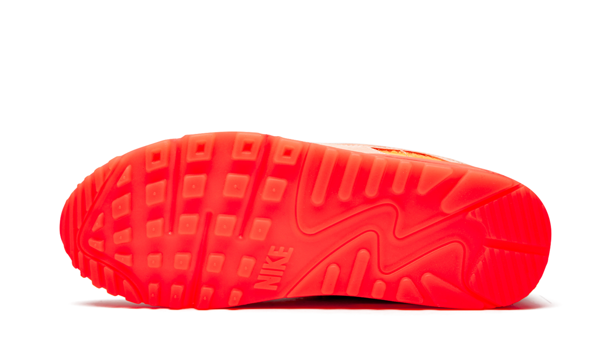 AIR MAX 90 PRM WMNS  Platinum Crimson/Bright Purple