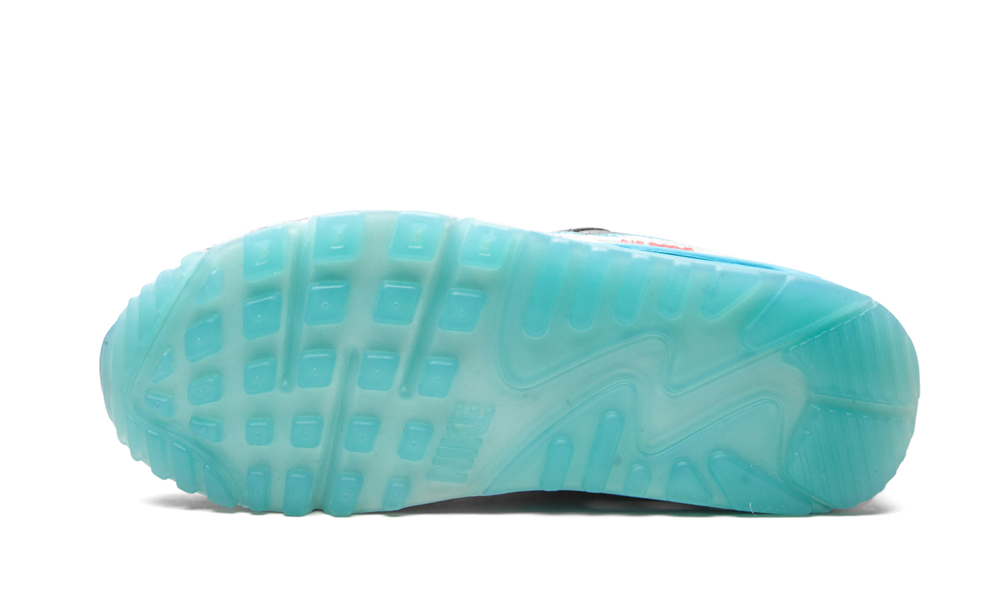 AIR MAX 90 MNS WMNS  Rice Ball