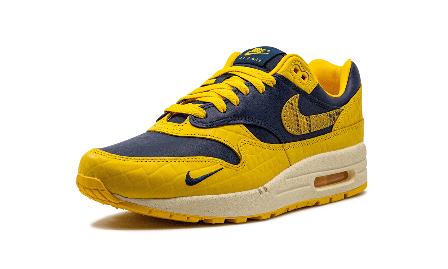AIR MAX 1 PRM MNS WMNS  Co.jp Head to Head
