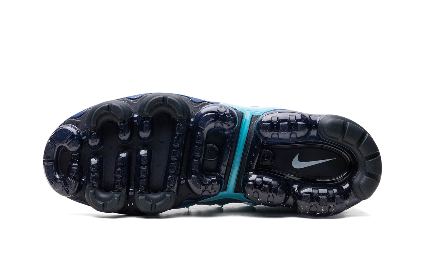 Vapormax Plus  Blue
