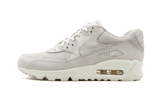 AIR MAX 90 PINNACLE MNS WMNS  tan