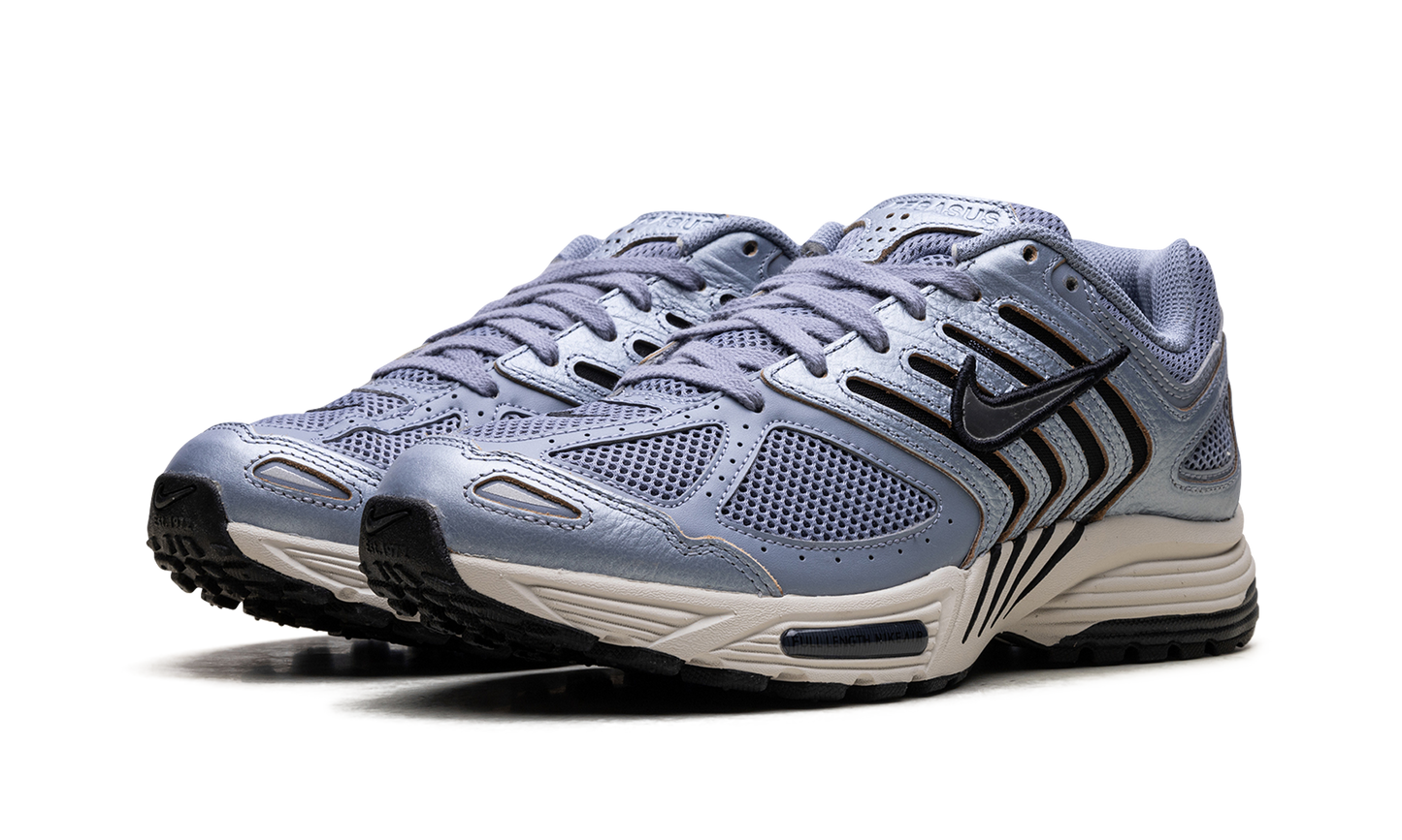 Air Pegasus 2K5 WMNS  Ashen Slate