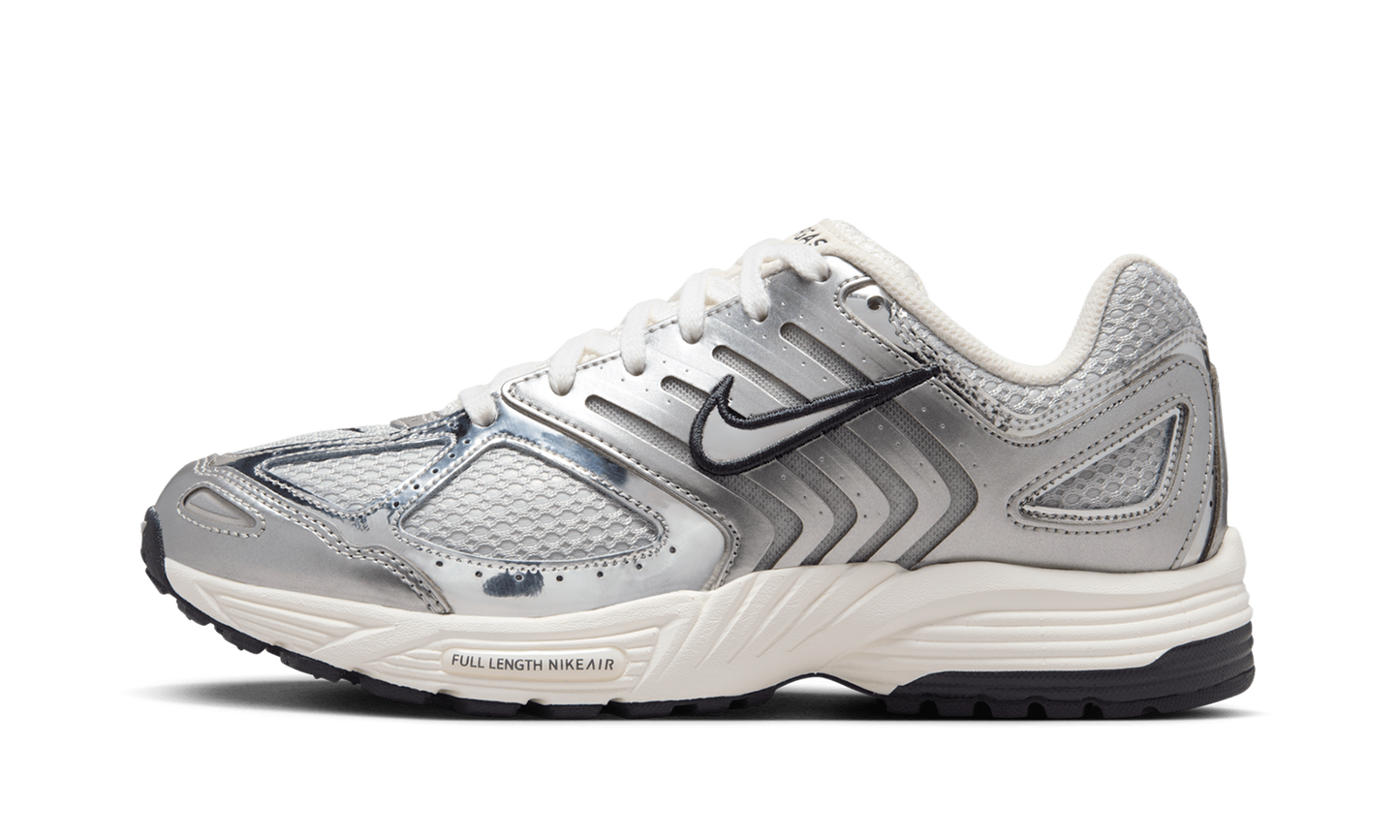 Air Pegasus 2K5 WMNS  Chrome