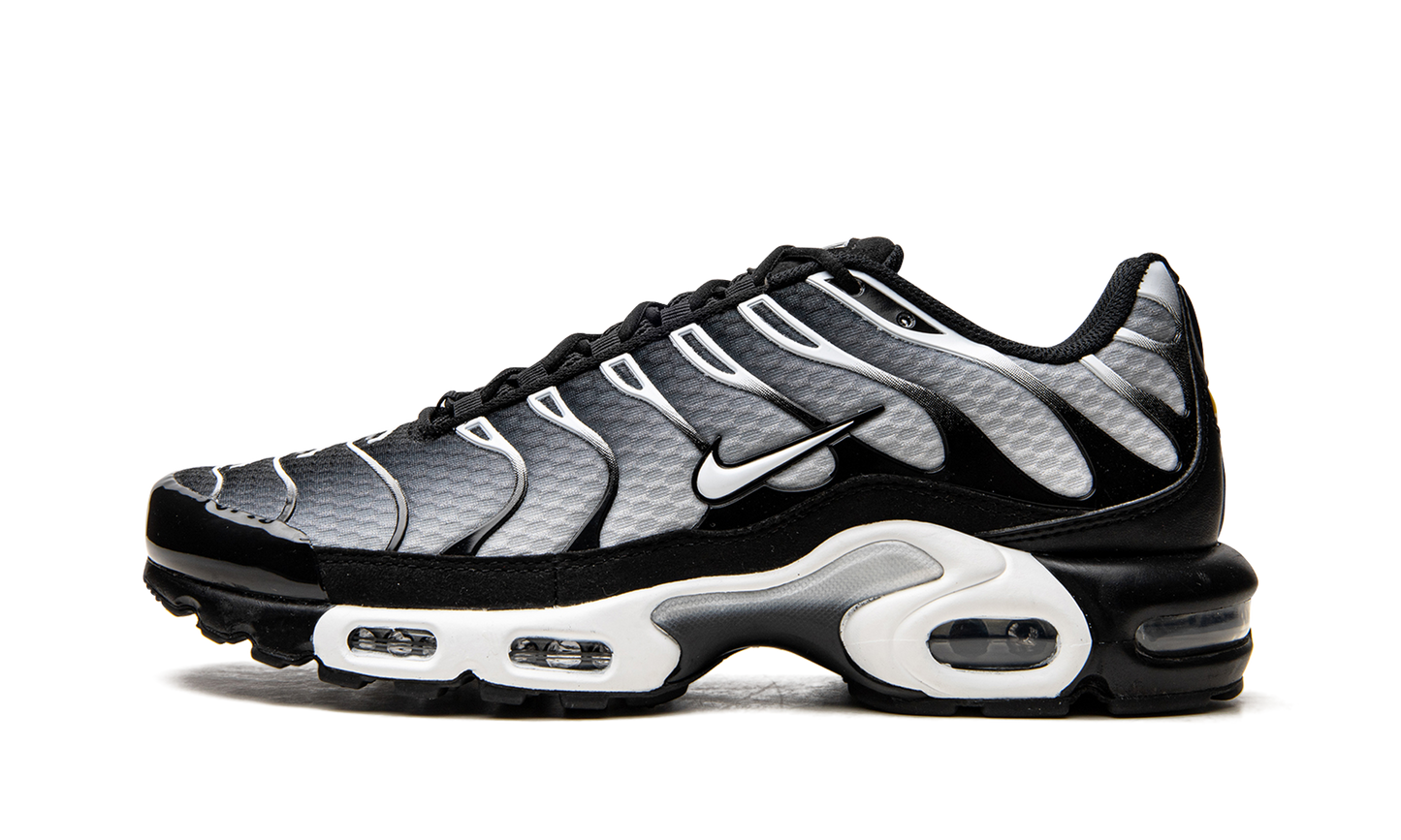 Air Max Plus  Black / Silver