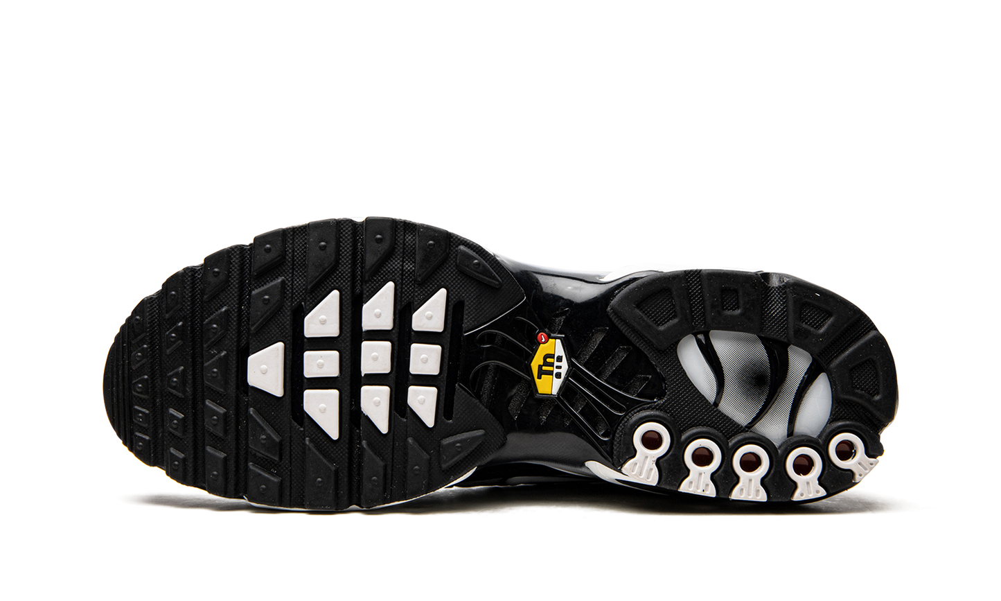 Air Max Plus  Black / Silver