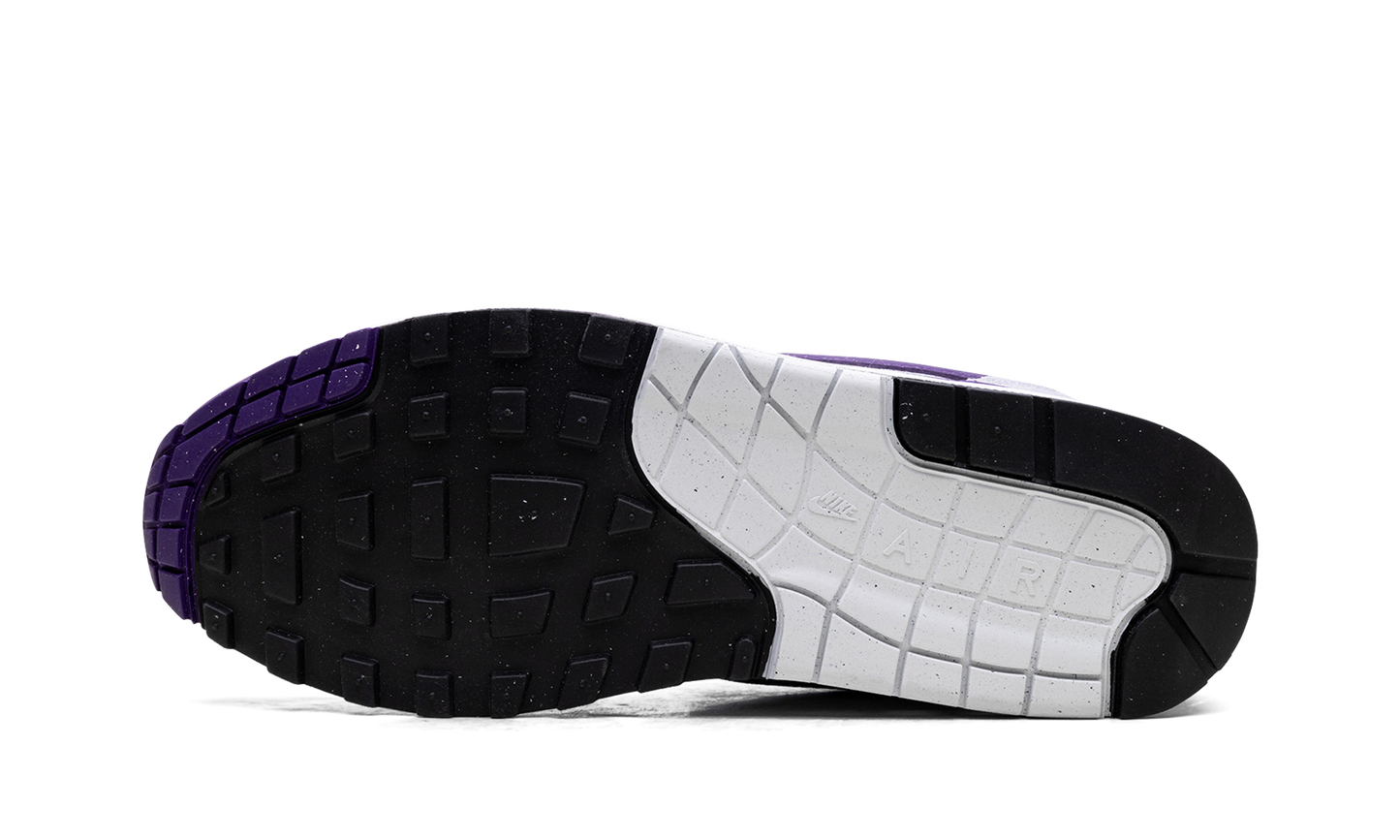 Air Max 1 SC  Field Purple