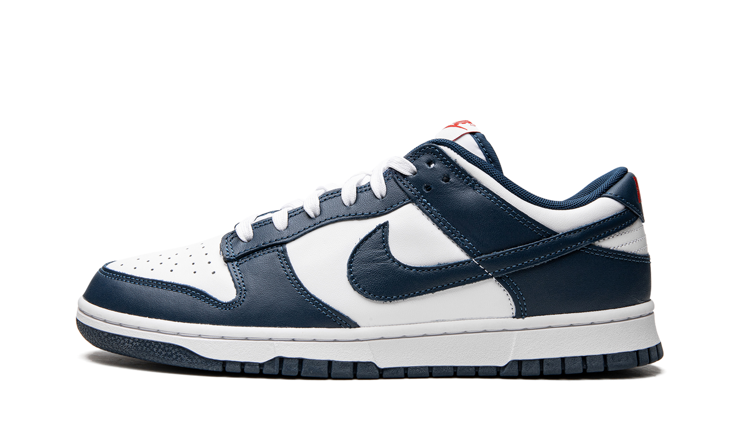 Dunk Low Retro  USA
