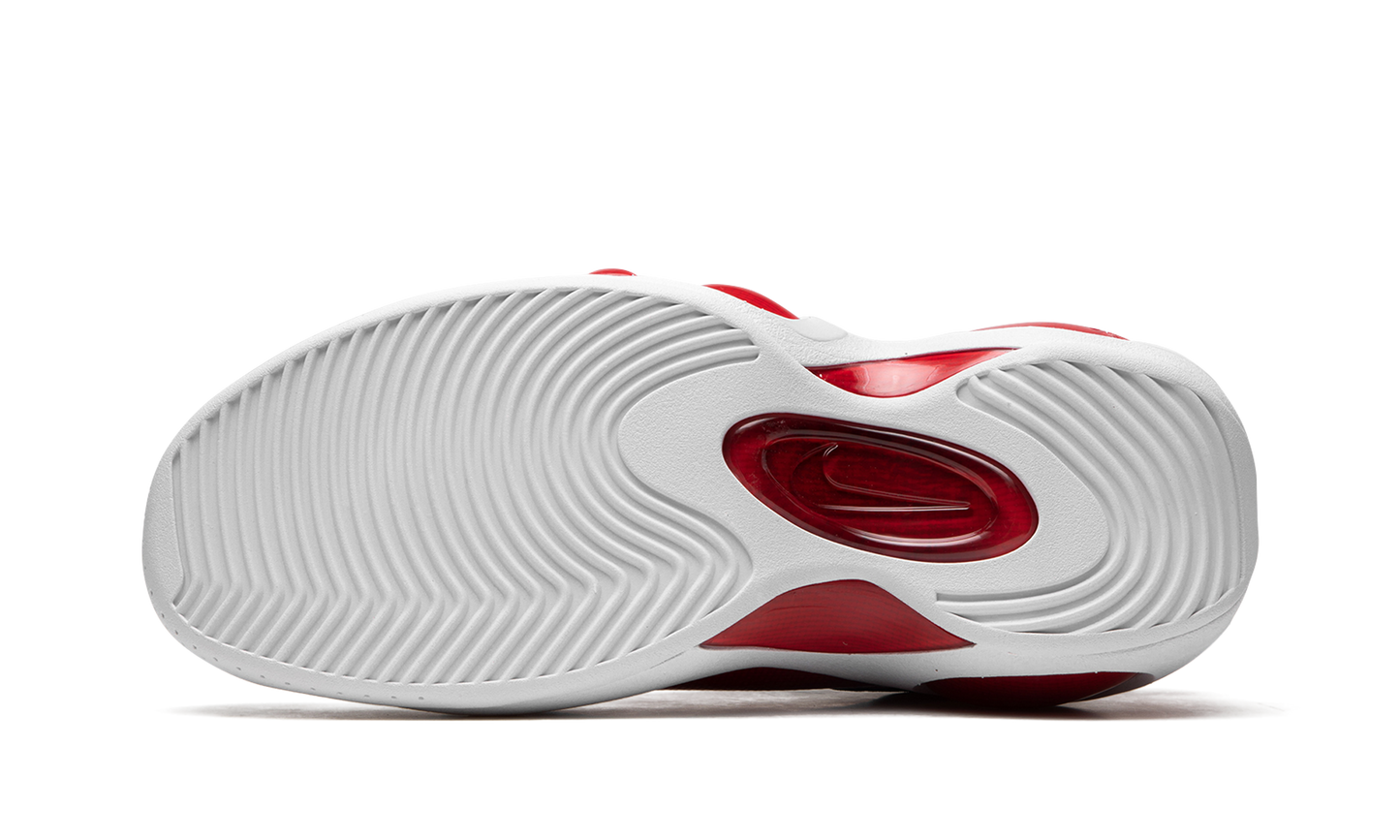 Air Zoom Flight 95  True Red