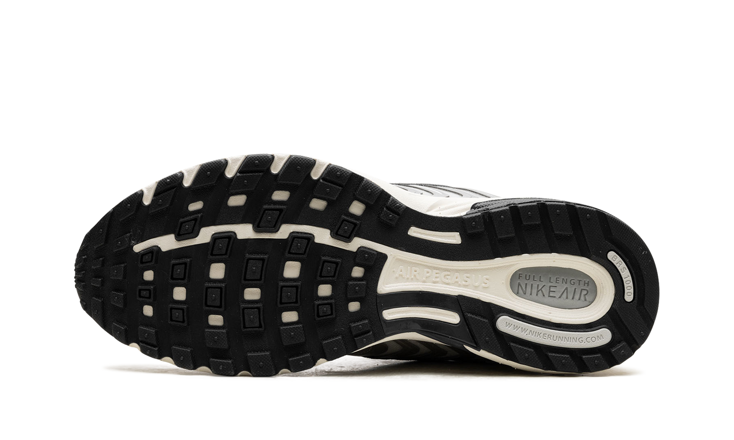 Air Pegasus 2K5 WMNS  Chrome