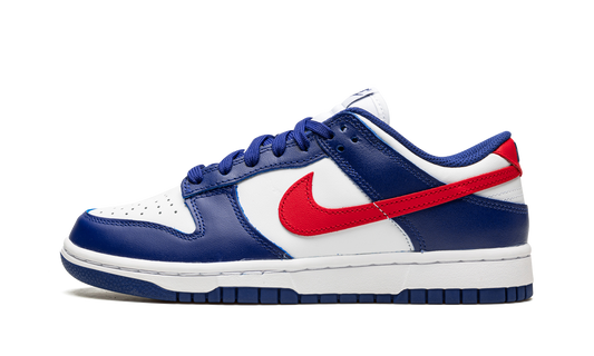 DUNK LO MNS WMNS  USA